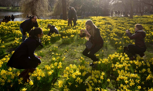 London, UK: People photograph each other amongst daffodils in St James's Park.