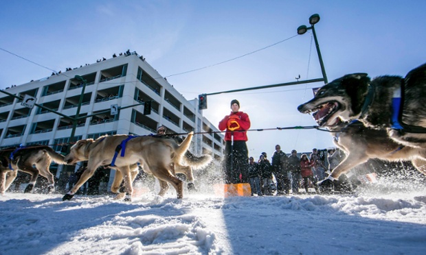Anchorage, Alaska: Katherine Keith's team charges down 4th Avenue at the ceremonial start to the Iditarod dog sled race