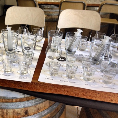 gin masterclass at Bass & Flinders Distillery