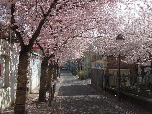 It's spring in Germany too. 