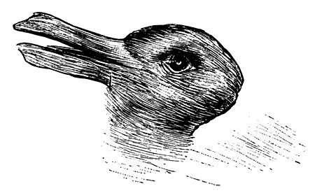 Rabbit or duck illusion