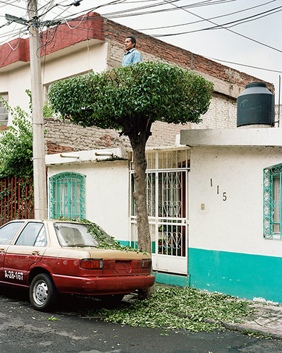 Big Picture - Miradors: topiary tree next to car