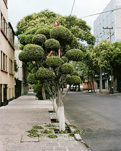 Big Picture - Miradors: topiary tree on road