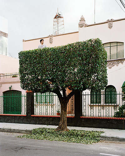 Big Picture - Miradors: topiary tree outside house
