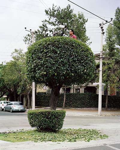 Big Picture - Miradors: big picture - miradors