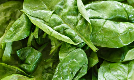 Fresh spinach leaves