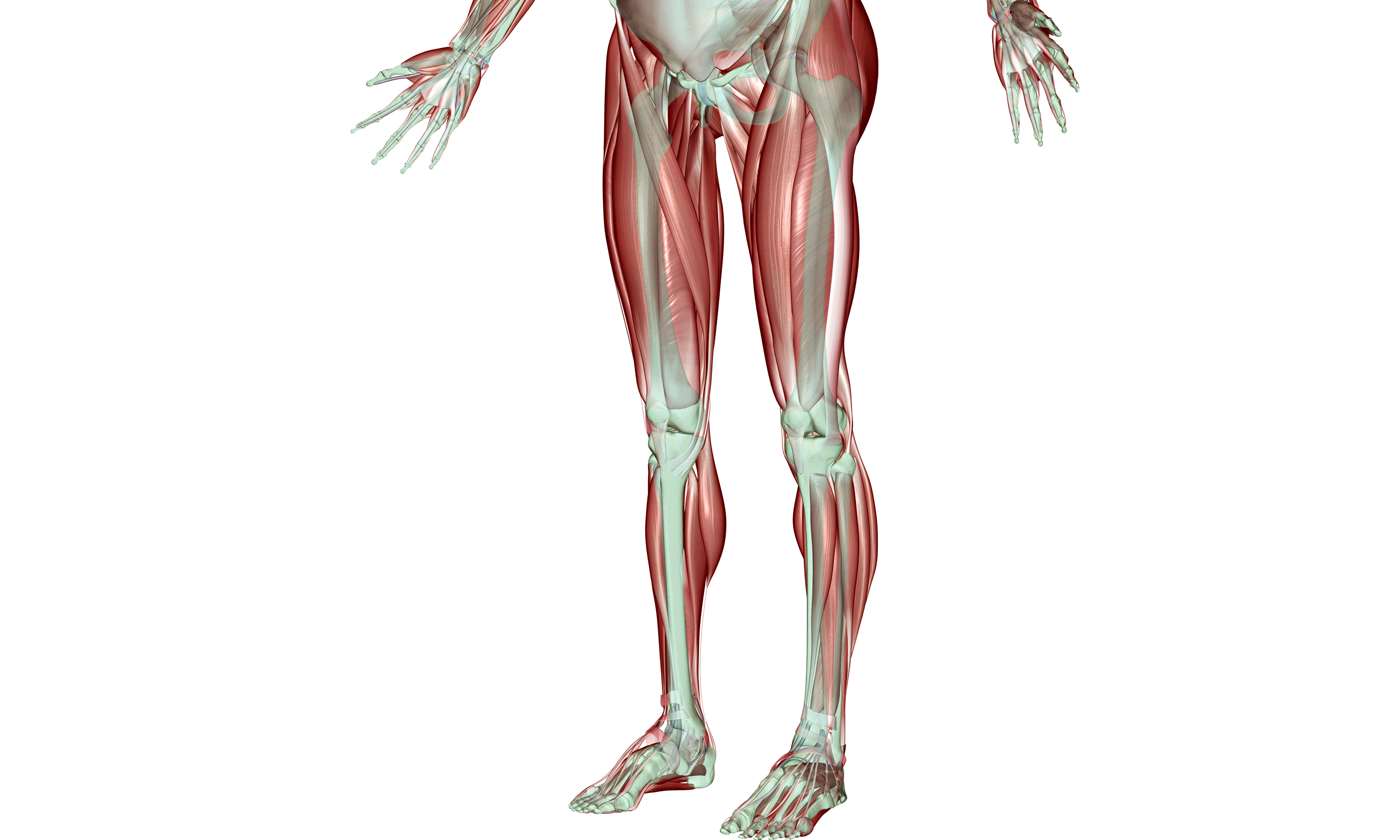 Running into problems: iliotibial band friction syndrome | Life and