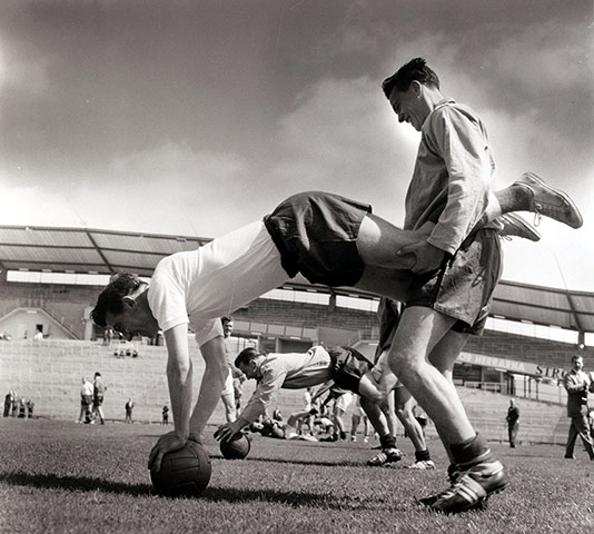 memory lane training: memory lane training