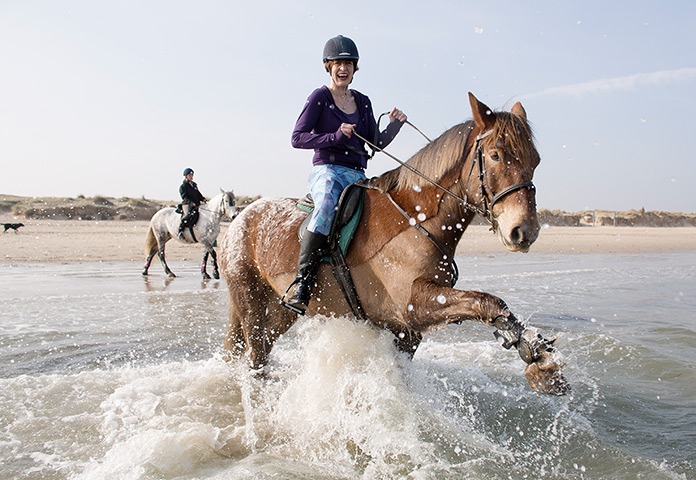 Beach horse riding: 