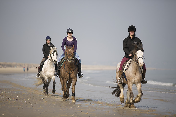 Beach horse riding: 