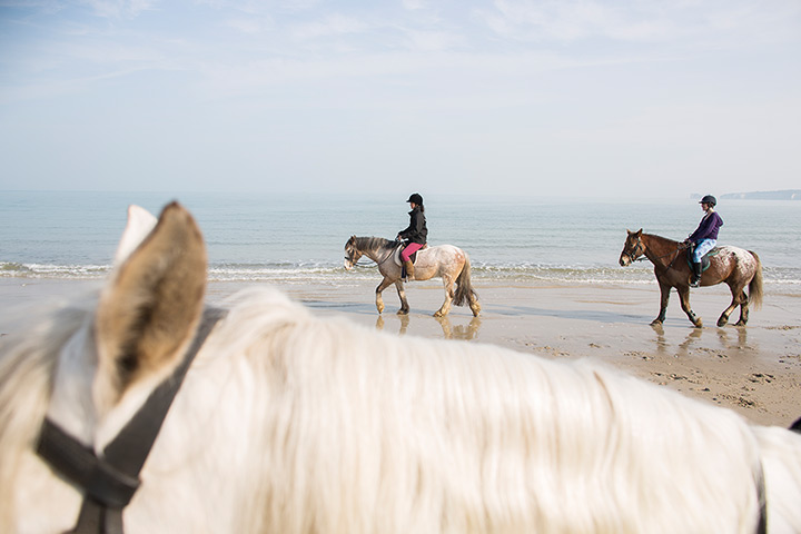 Beach horse riding: Dorset beach