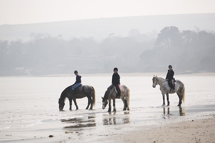 Beach horse riding: The Dorset coast