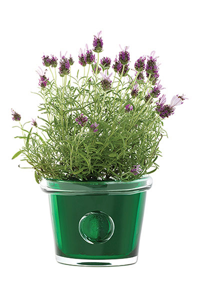 Garden gear - in pictures: gardening wish list
