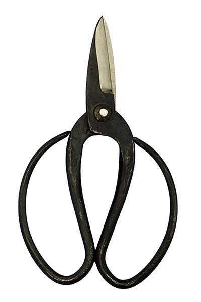 Garden gear - in pictures: gardening wish list