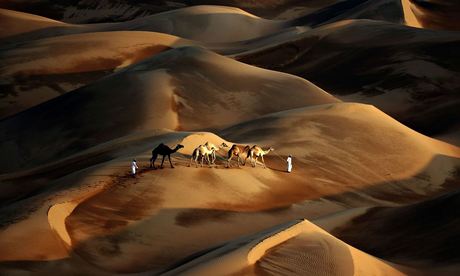 Tribesmen lead their camels through the sand dunes of the Liwa desert