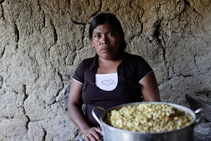 Coffee: Monesh Garcia,