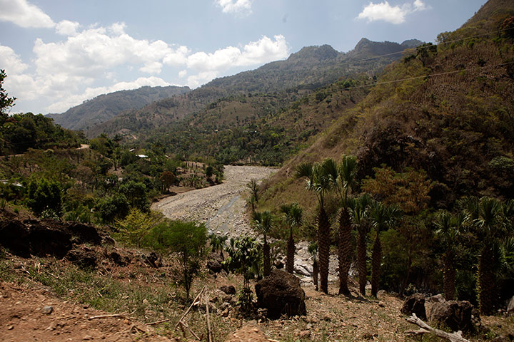 Coffee: Dried up mountan region of the village of Tunuco Arriba, Jocotan in Guatema