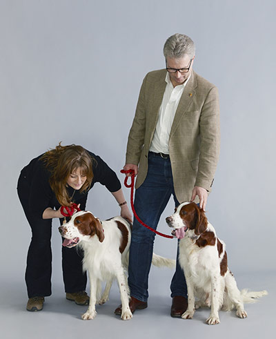 Endangered dog breeds: Paula and Peter Ryan with Irish red and white setters Rough and Tumble