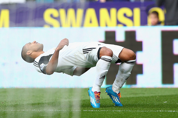 cardiff west brom: Wayne Routledge celebrates his goal