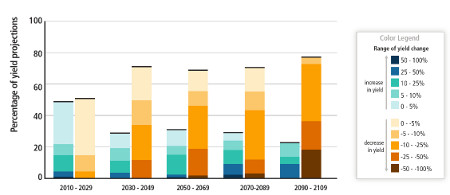 Summary of projected changes in crop yields, due to climate change over the 21st century.