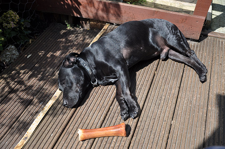 In Pictures: Warm: In Pictures: Warm