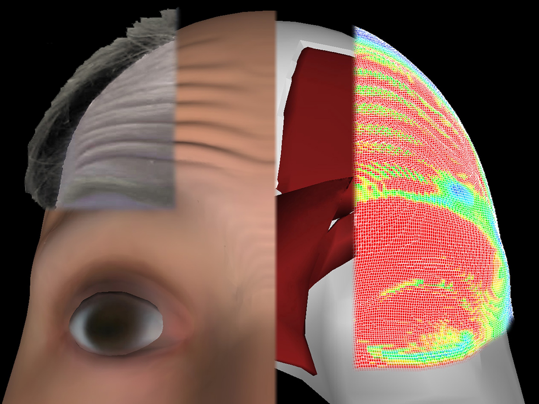 National science photography competition – in pictures | Science | The