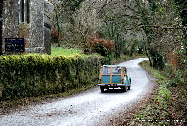 Your Picture Gallery: Your Pictures Gallery