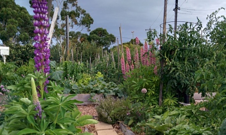 Rushall Garden, North Fitzroy