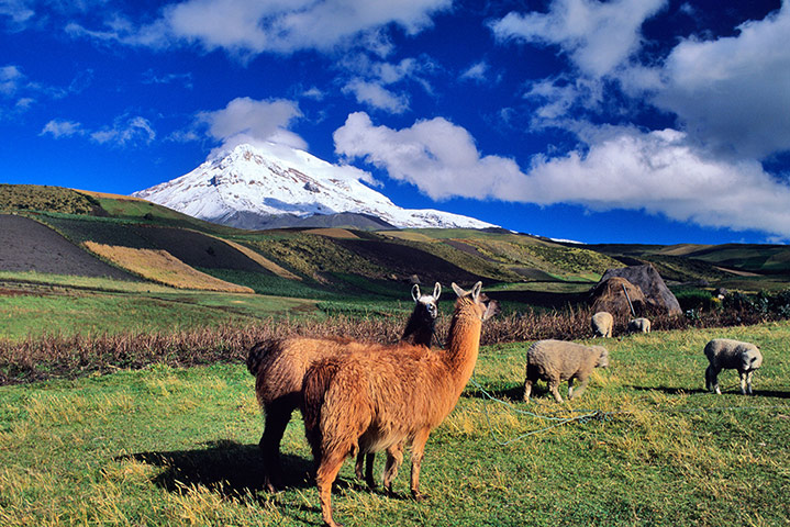 Picture this: Chimborazo, Ecuador