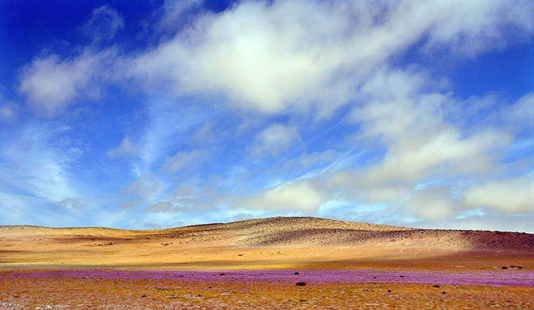 Picture this: Atacama desert