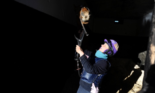 Carol Double hangs on to the horses head at Nick Gifford's Downs Stables in Findon, UK.