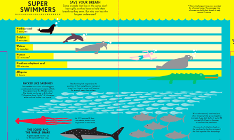 A visualisation from the infographic book for children, Animal Kingdom book which will be published in April. Illustration by Nicholas Blechman