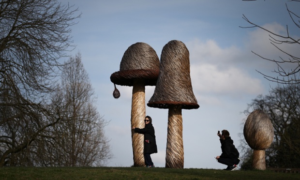 Giant willow mushroom sculptures at The Royal Botanical Gardens, Kew. Parts of the United Kingdom are experiencing warm weather and sunshine.