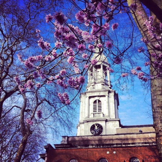 'Hipster cherry blossoms' in east London, courtesy of JaseinLondon. 
