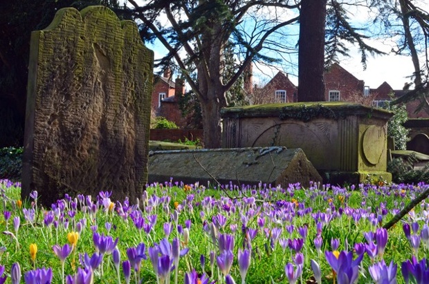 St Chad's graveyard, Shrewsbury.