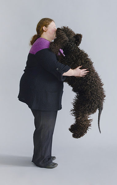 original observer: British vulnerable dog breeds 