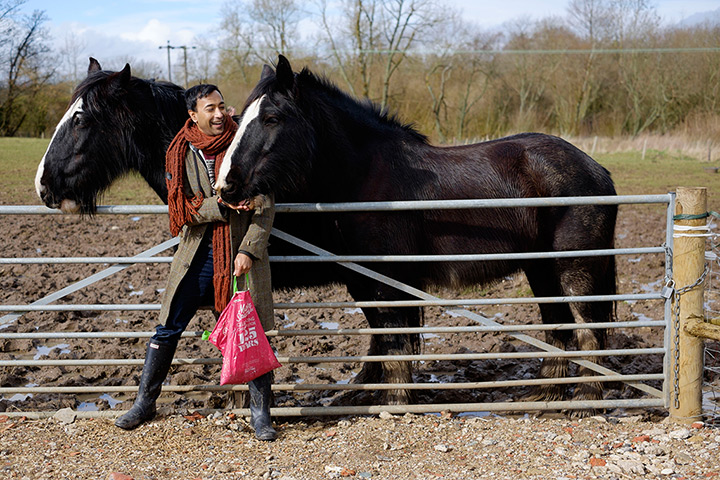 Do Something adventure: Rhik feeds horses owned by Steve Butler of the Kennet Horse Boat Company in