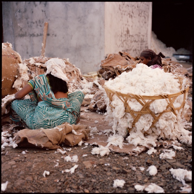 Workers sorting through the cotton at the ginning mill, India