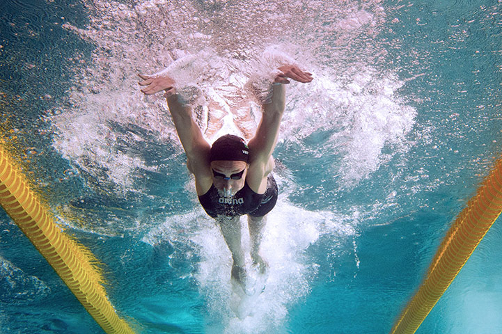 underwater photography: Evelyn Verraszto