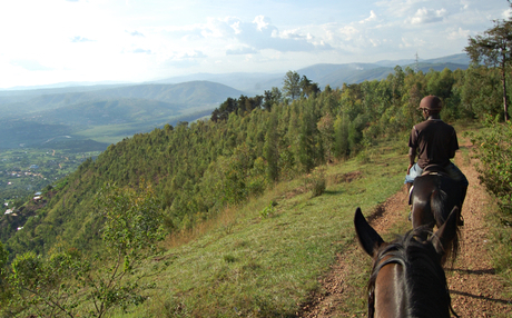 Fazenda Sengha horseback ride