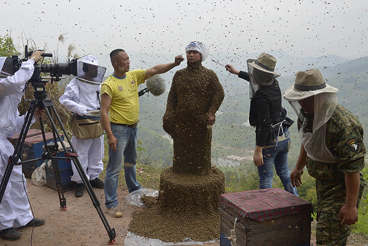 20 Photos: Assistants drive away bees from the face of a beekeeper in Chongqing