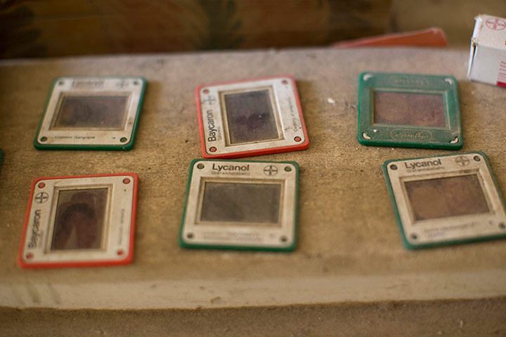 From the agencies: Photographic slides in the abandoned commercial area in central Nicosia