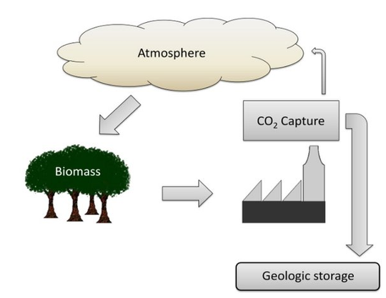 carbon capture technology companies in india
