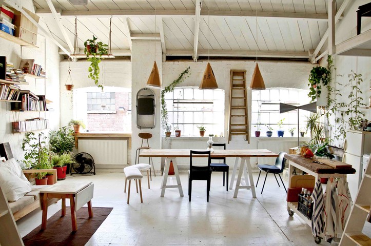 Tottenham loft: Tottenham loft