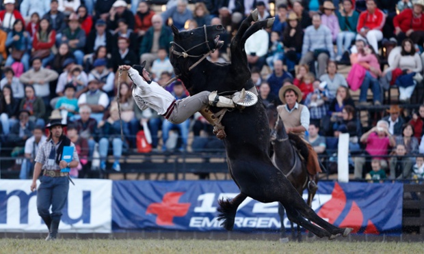 A gaucho rides a wild horse during the annual celebration of Criolla Week in Montevideo, Uruguay.