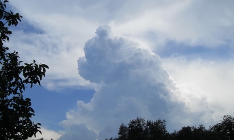 Sad Marsican bear. We loved this bear, but it has a sad story. 