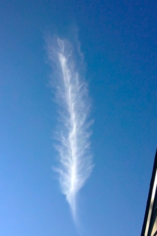 A feather cloud