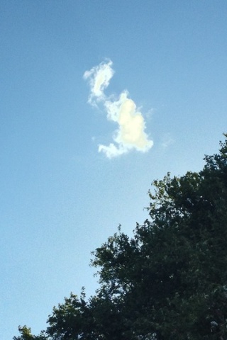 Small cloud over Victoria Park, Auckland - in the shape of Great Britain...strangely when Charles and Camilla were visiting, Nov 2012. Shot from the car on my iPhone.