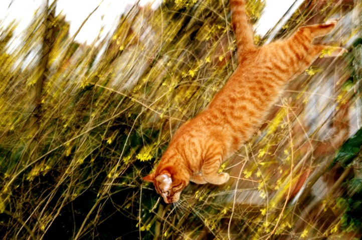 In pictures: 'This picture wasn't planned, I was trying out my new camera by photograhin