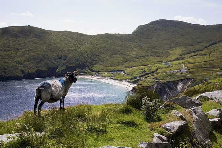 Tourism Ireland gallery 1: TI: Keem Bay, Achill Island 